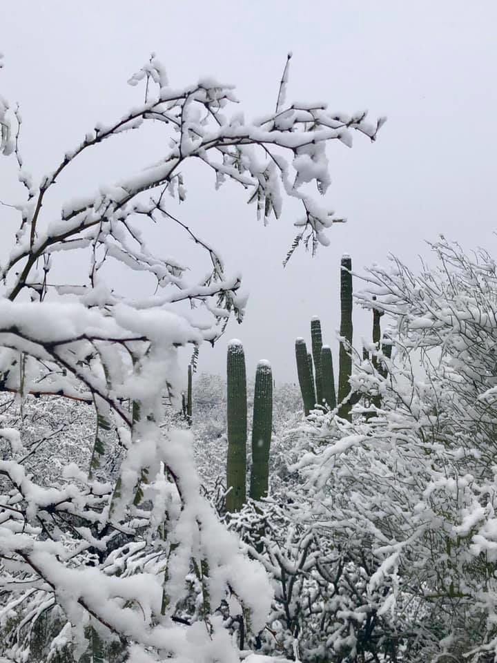 Snow in Tucson